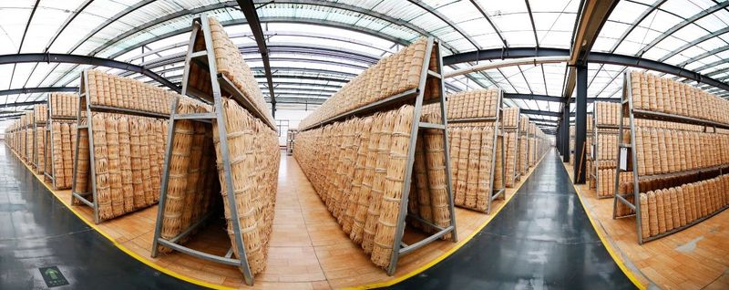 关于走进安化黑茶晾晒中心，品味茶叶中“阳光的味道”的最新消息(2)