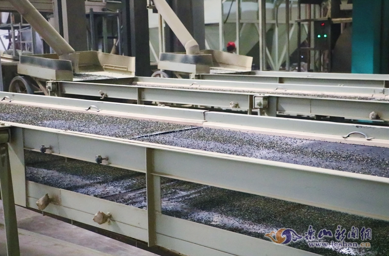 关于夹江问茶1：一叶春茶“香”内外的相关信息(4)