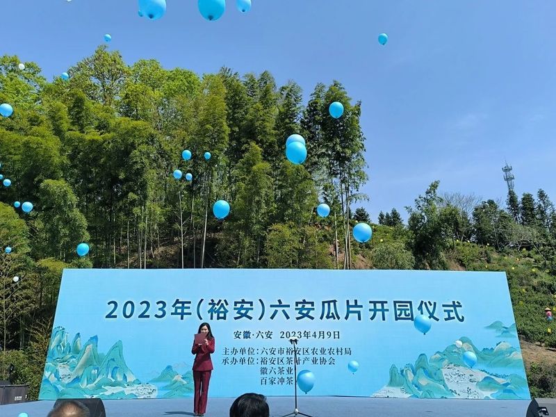 关于2023年4月茶行业资讯汇总的资讯(3)