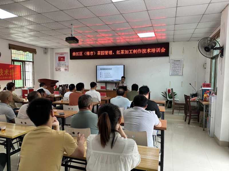 有关于茶专家靶向发力 助力曲江茶产业高质量发展的信息