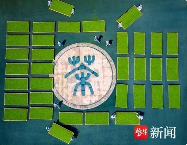 有关于人间至味“宜兴红”：茶产业引领宜兴乡村振兴之路的新闻(4)