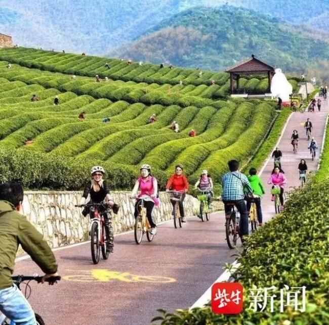 有关于人间至味“宜兴红”：茶产业引领宜兴乡村振兴之路的新闻(2)