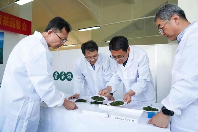 有关于2023农产品地理标志海青茶品鉴会成功举办的新闻(1)