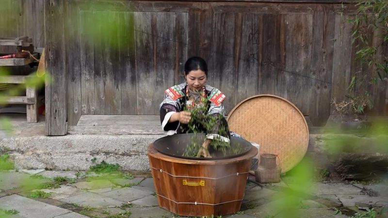 有关于产值20.19亿！都匀毛尖茶再创佳绩的消息(12)