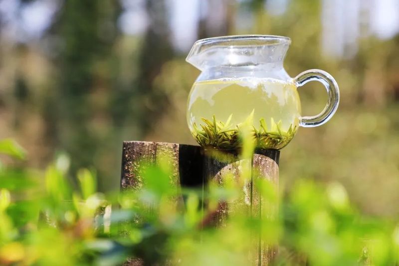 有关于产值20.19亿！都匀毛尖茶再创佳绩的消息(8)