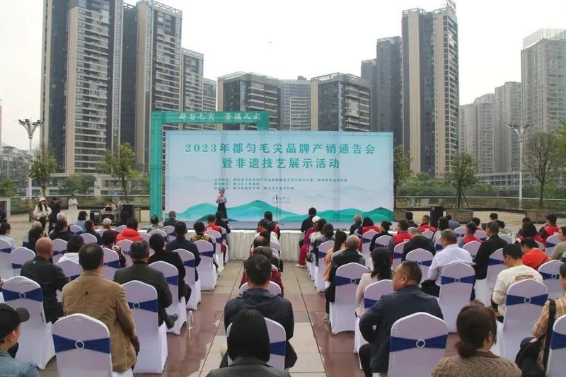 有关于产值20.19亿！都匀毛尖茶再创佳绩的消息(9)