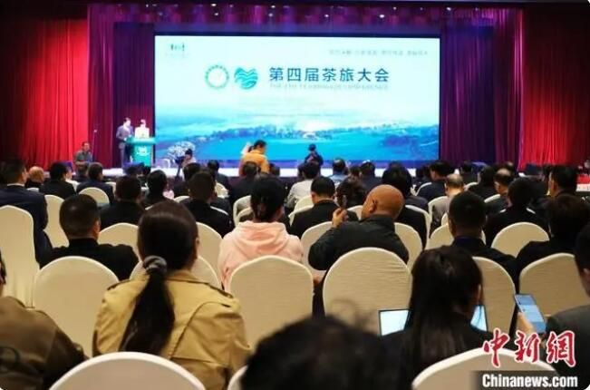 有关于专家学者湖北五峰共研中国茶旅融合发展的新闻(1)