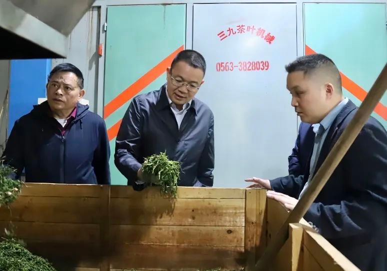 关于石录明实地调研全县茶产业发展情况的最新消息