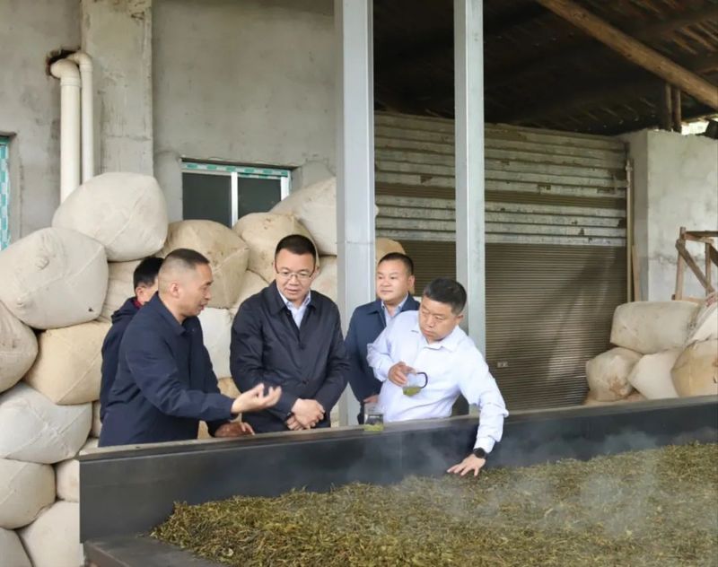 关于石录明实地调研全县茶产业发展情况的最新消息(1)