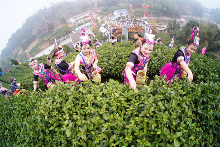 关于一周速读：中国茶叶国际贸易、冰岛4.5万元/kg、进击的袋泡茶的资讯(5)