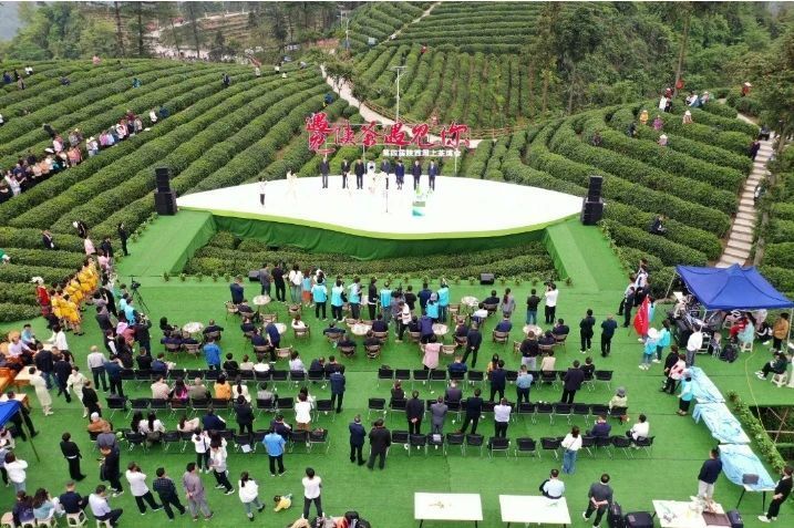 关于一周速读：中国茶叶国际贸易、冰岛4.5万元/kg、进击的袋泡茶的资讯(7)