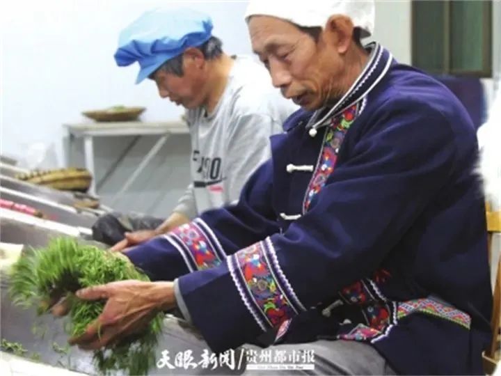 有关于螺蛳壳的茶味江湖！的最新消息(1)