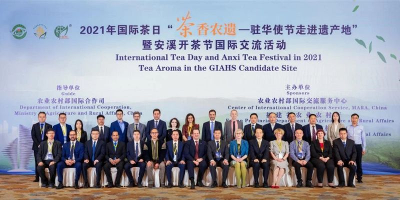 关于中国茶品牌建设论坛在上海召开 安溪铁观音多项荣誉“收入囊中”的内容(3)