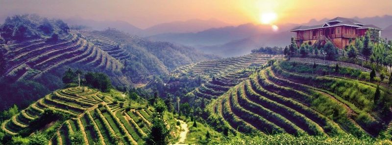 关于中国茶品牌建设论坛在上海召开 安溪铁观音多项荣誉“收入囊中”的内容(5)