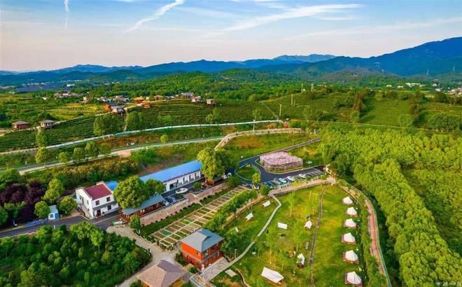 有关于孝昌县孝孟红生态观光茶园成了“网红打卡地”的相关内容(3)