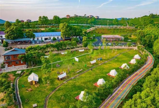 有关于孝昌县孝孟红生态观光茶园成了“网红打卡地”的相关内容