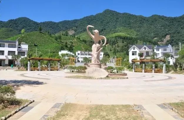 有关于黄山猴坑村：这个村民组“家庭收入150万元只是中等水平”的新闻