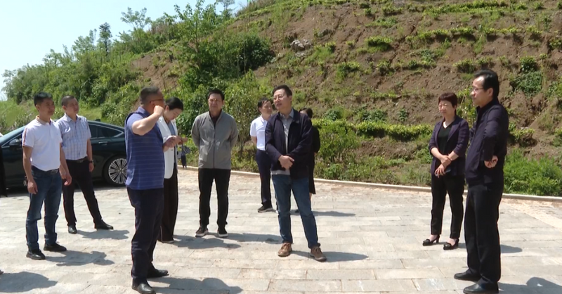 有关于九江市人大调研组深入武宁县开展茶产业发展情况专题调研的资讯(1)