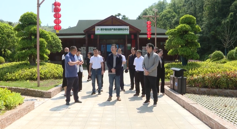 有关于九江市人大调研组深入武宁县开展茶产业发展情况专题调研的资讯