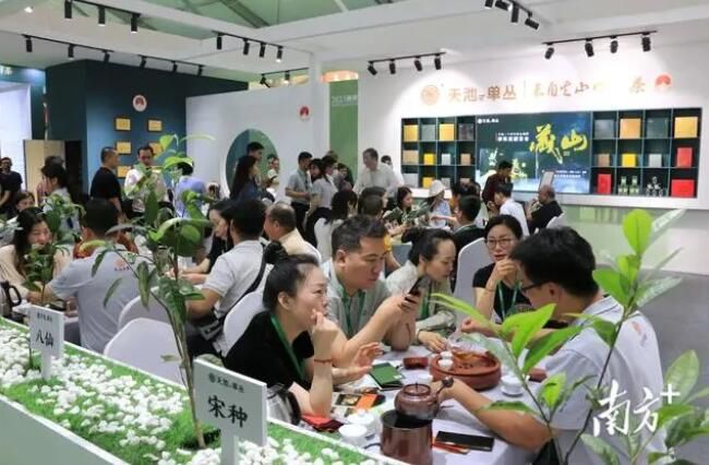 有关于潮州举办2023工夫茶大会，让世界共品潮州“好工夫”的相关内容(3)
