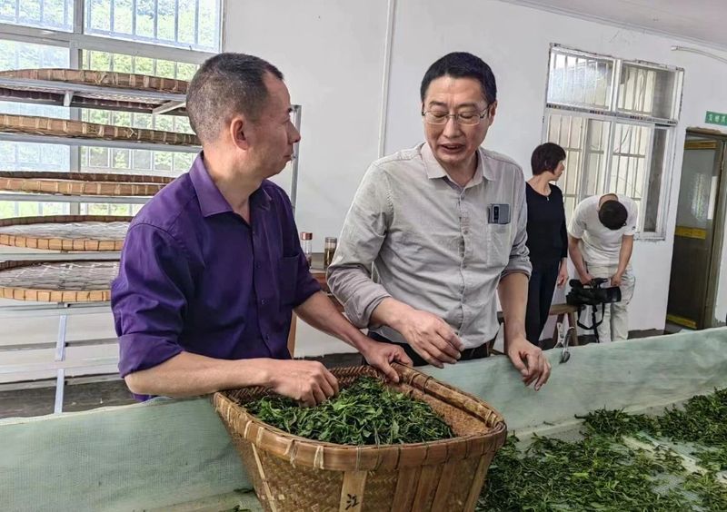 有关于地理标志农产品泾县兰香茶2023年标准技术培训班开班的相关信息(3)