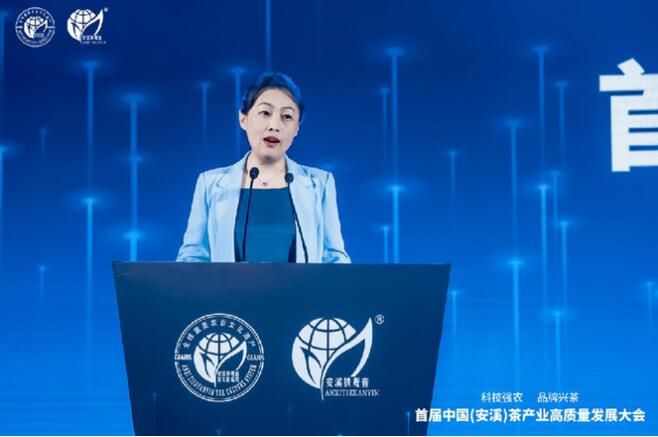 关于这场大会助力福建安溪茶产业高质量发展的相关内容(4)