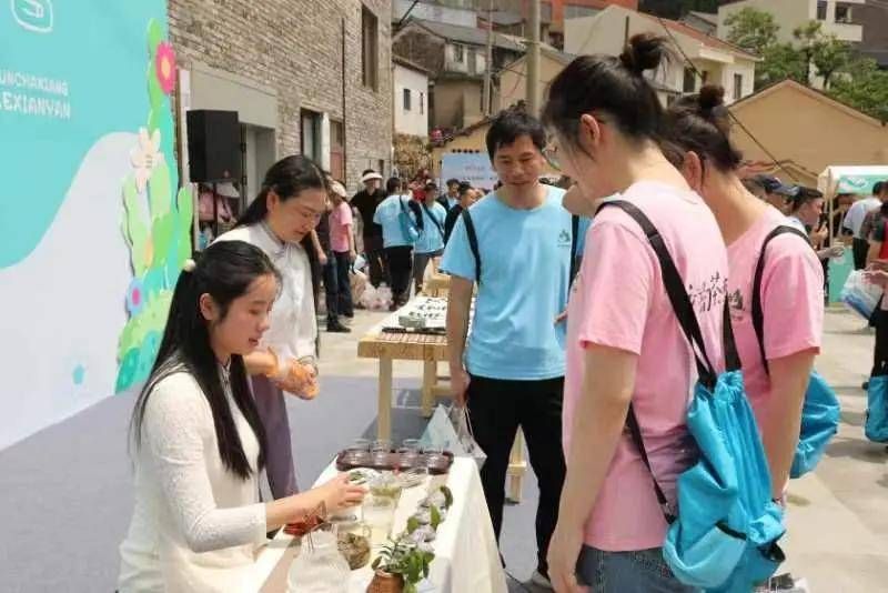 有关于“诗韵茶香 富乐仙岩”第三届茶文化活动在仙岩镇举行 的内容(1)