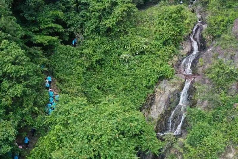 有关于“诗韵茶香 富乐仙岩”第三届茶文化活动在仙岩镇举行 的内容(2)