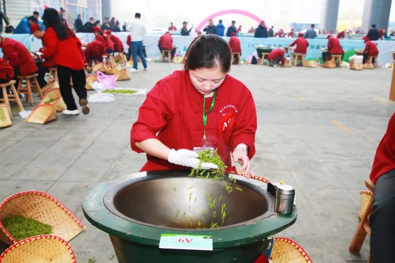 有关于群英荟萃茶博盛会,浙茶出圈底气何在?的相关信息(2)