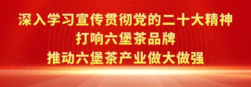 有关于提升梧州六堡茶知名度美誉度，梧州市将开展“5·21国际茶日 邀您共饮梧州六堡茶”系列活动的消息