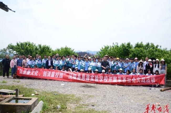 关于沅陵五月好风光 思源学子采茶忙的新闻(4)