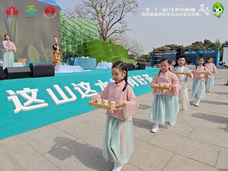关于柘荣高山白茶推介会在北京八大处举行的相关内容(4)