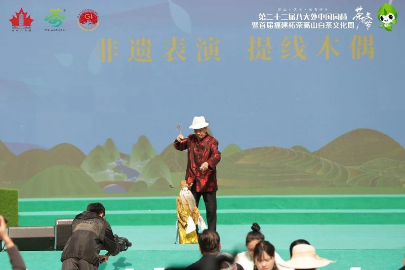 关于柘荣高山白茶推介会在北京八大处举行的相关内容(3)