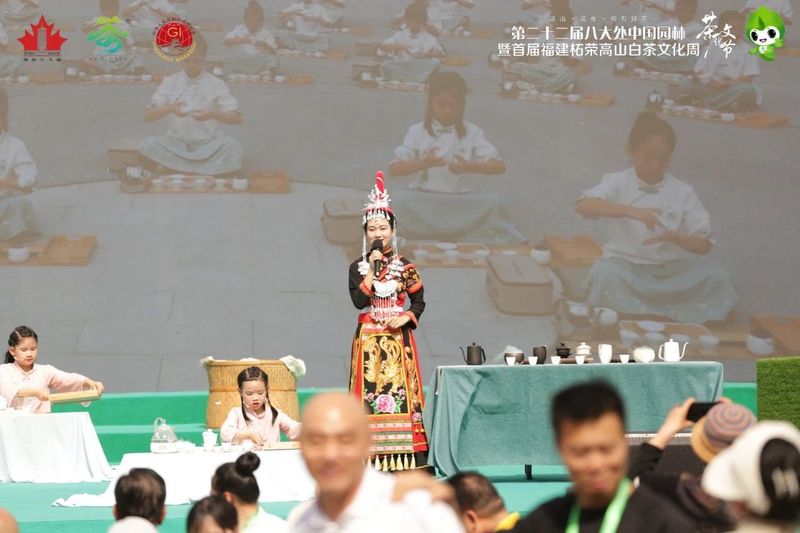 关于柘荣高山白茶推介会在北京八大处举行的相关内容(2)