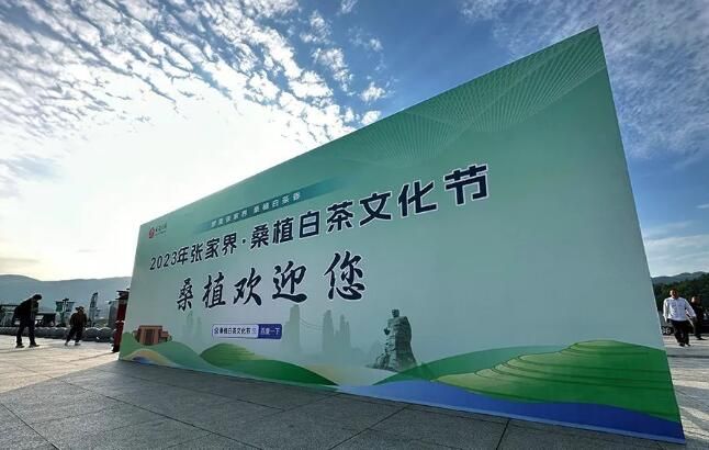 关于融入张家界，桑植亮出茶旅融合这张王牌的内容(1)