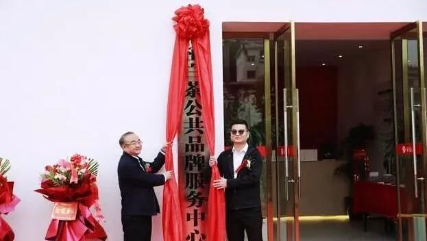 关于融入张家界，桑植亮出茶旅融合这张王牌的内容(2)