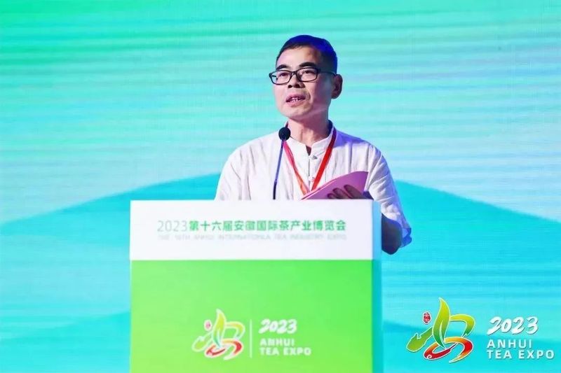 关于“皖美徽茶”品鉴交流会成功举行的内容(3)