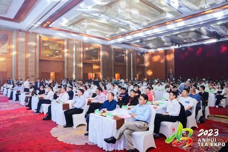 关于“皖美徽茶”品鉴交流会成功举行的内容(1)