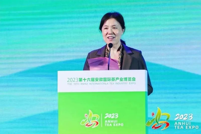 关于“皖美徽茶”品鉴交流会成功举行的内容(2)