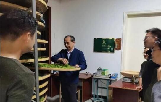 关于夏涛教授实地指导大演乡茶产业发展的资讯(1)