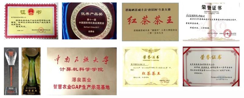 有关于2023茶乡旅游发展大会指定用茶——咸丰唐崖茶的资讯(4)