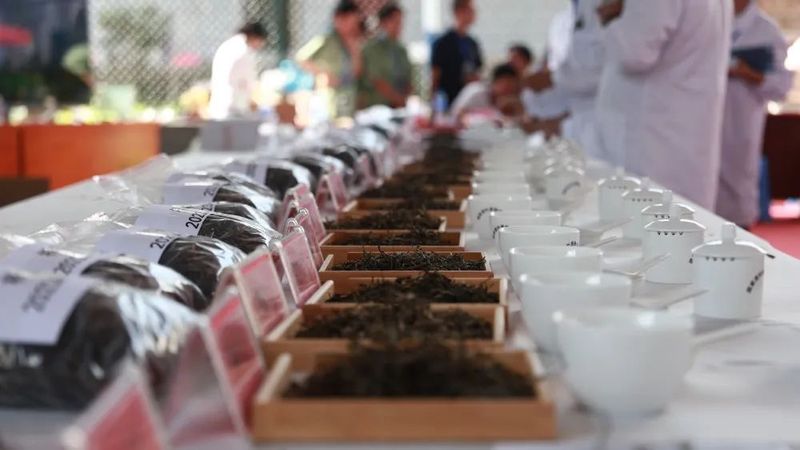 有关于“茗动江城”斗茶大赛圆满落幕的消息(2)
