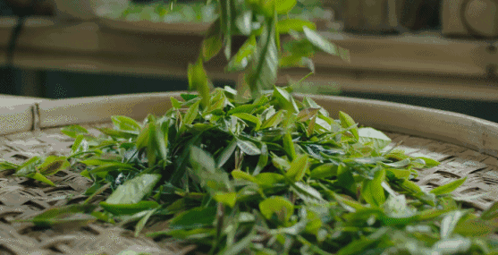有关于让金庸为之倾倒的襄阳，有牛肉面，还有无法低调的高香茶的消息(18)