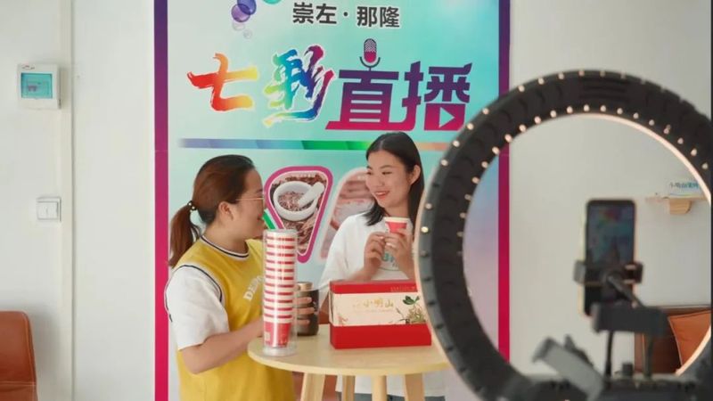 有关于江州区那隆镇：“党旗红”点燃茶产业发展“绿引擎”的消息(2)