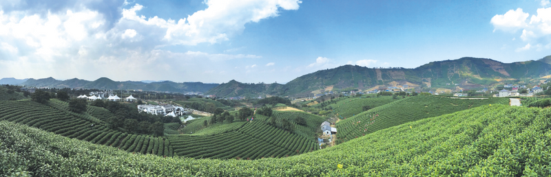 有关于湖州27家茶企将参展第五届中国国际茶叶博览会的新闻(4)