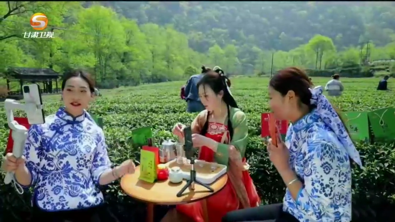 关于甘肃唯一产茶地区"卖风景":从一片绿叶到漫山"金叶&q(4)