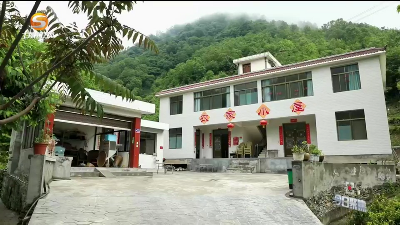 关于甘肃唯一产茶地区"卖风景":从一片绿叶到漫山"金叶&q(2)