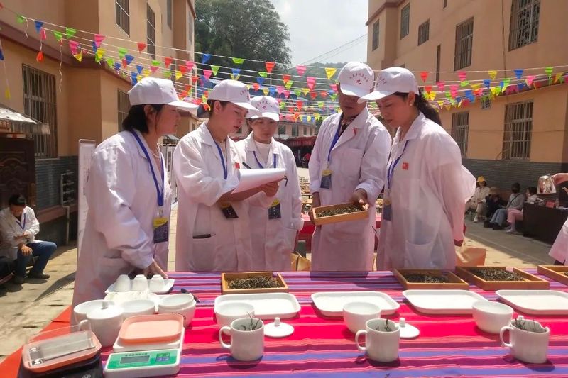 关于澜沧县文东乡第九届斗茶大赛完美收官的最新消息(1)