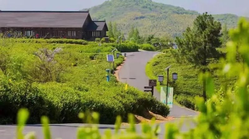 关于南京江宁黄龙岘茶文化村:入选长江乡村振兴之旅国家级旅游线路的最新消息(1)