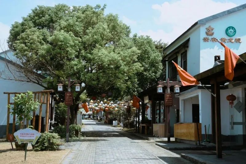 关于南京江宁黄龙岘茶文化村:入选长江乡村振兴之旅国家级旅游线路的最新消息(2)